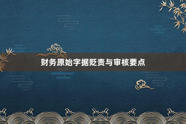 财务原始字据贬责与审核要点
